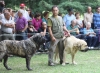 Filename=IMG-5441.jpg
Filesize=151KiB
Dimensions=1200x877
Date added=%951 %19, %2012 IMG-5441.jpg