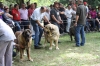 Filename=IMG-5442.jpg
Filesize=140KiB
Dimensions=1200x800
Date added=%951 %19, %2012 IMG-5442.jpg