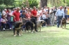 Filename=IMG-5444.jpg
Filesize=143KiB
Dimensions=1200x800
Date added=%951 %19, %2012 IMG-5444.jpg