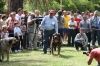 Filename=IMG-5445.jpg
Filesize=145KiB
Dimensions=1200x800
Date added=%951 %19, %2012 IMG-5445.jpg