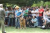Filename=IMG-5447.jpg
Filesize=141KiB
Dimensions=1200x800
Date added=%951 %19, %2012 IMG-5447.jpg