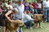 Filename=IMG-5450.jpg
Filesize=116KiB
Dimensions=1200x800
Date added=%951 %19, %2012 IMG-5450.jpg