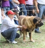 Filename=IMG-5451.jpg
Filesize=122KiB
Dimensions=1133x1200
Date added=%951 %19, %2012 IMG-5451.jpg