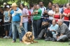 Filename=IMG-5454.jpg
Filesize=110KiB
Dimensions=1200x780
Date added=%951 %19, %2012 IMG-5454.jpg