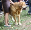 Filename=IMG-5457.jpg
Filesize=150KiB
Dimensions=1200x1165
Date added=%951 %19, %2012 IMG-5457.jpg