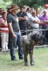 Filename=IMG-5459.jpg
Filesize=99KiB
Dimensions=818x1200
Date added=%951 %19, %2012 IMG-5459.jpg