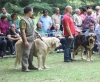 Filename=IMG-5461.jpg
Filesize=167KiB
Dimensions=1200x992
Date added=%951 %19, %2012 IMG-5461.jpg