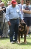 Filename=IMG-5462.jpg
Filesize=112KiB
Dimensions=778x1200
Date added=%951 %19, %2012 IMG-5462.jpg