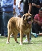 Filename=IMG-5463.jpg
Filesize=118KiB
Dimensions=996x1200
Date added=%951 %19, %2012 IMG-5463.jpg