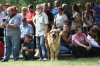 Filename=IMG-5464.jpg
Filesize=98KiB
Dimensions=1200x800
Date added=%951 %19, %2012 IMG-5464.jpg