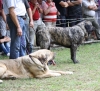 Filename=IMG-5465.jpg
Filesize=198KiB
Dimensions=1200x1092
Date added=%951 %19, %2012 IMG-5465.jpg