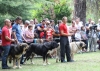 Filename=IMG-5466.jpg
Filesize=167KiB
Dimensions=1200x856
Date added=%951 %19, %2012 IMG-5466.jpg