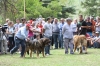 Filename=IMG-5467.jpg
Filesize=151KiB
Dimensions=1200x800
Date added=%951 %19, %2012 IMG-5467.jpg