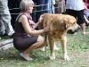 Filename=IMG-5468.jpg
Filesize=151KiB
Dimensions=1200x910
Date added=%951 %19, %2012 IMG-5468.jpg