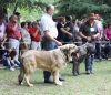 Filename=IMG-5469.jpg
Filesize=177KiB
Dimensions=1200x1034
Date added=%951 %19, %2012 IMG-5469.jpg