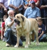 Filename=IMG-5472.jpg
Filesize=109KiB
Dimensions=1141x1200
Date added=%951 %19, %2012 IMG-5472.jpg