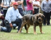 Filename=IMG-5473.jpg
Filesize=121KiB
Dimensions=1200x954
Date added=%951 %19, %2012 IMG-5473.jpg