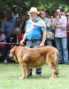 Filename=IMG-5475.jpg
Filesize=139KiB
Dimensions=936x1200
Date added=%951 %19, %2012 IMG-5475.jpg