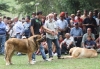Filename=IMG-5478.jpg
Filesize=151KiB
Dimensions=1200x835
Date added=%951 %19, %2012 IMG-5478.jpg