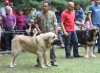 Filename=IMG-5479.jpg
Filesize=144KiB
Dimensions=1200x879
Date added=%951 %19, %2012 IMG-5479.jpg