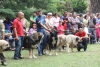 Filename=IMG-5480.jpg
Filesize=168KiB
Dimensions=1200x811
Date added=%951 %19, %2012 IMG-5480.jpg