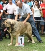 Filename=IMG-5482.jpg
Filesize=145KiB
Dimensions=1068x1200
Date added=%951 %19, %2012 IMG-5482.jpg