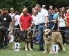 Filename=IMG-5486.jpg
Filesize=163KiB
Dimensions=1200x972
Date added=%951 %19, %2012 IMG-5486.jpg