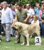Filename=IMG-5488.jpg
Filesize=176KiB
Dimensions=1053x1200
Date added=%951 %19, %2012 IMG-5488.jpg