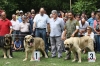 Filename=IMG-5489.jpg
Filesize=156KiB
Dimensions=1200x800
Date added=%951 %19, %2012 IMG-5489.jpg