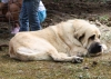 Filename=IMG-5490.jpg
Filesize=127KiB
Dimensions=1200x857
Date added=%722 %20, %2012 IMG-5490.jpg