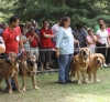 Filename=IMG-5500-parejas.jpg
Filesize=163KiB
Dimensions=1200x1109
Date added=%722 %20, %2012 IMG-5500-parejas.jpg