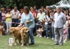 Filename=IMG-5509-parejas.jpg
Filesize=170KiB
Dimensions=1200x860
Date added=%722 %20, %2012 IMG-5509-parejas.jpg