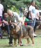 Filename=IMG-5528.jpg
Filesize=140KiB
Dimensions=1023x1200
Date added=%722 %20, %2012 IMG-5528.jpg