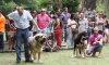Filename=IMG-5532.jpg
Filesize=222KiB
Dimensions=1500x907
Date added=%722 %20, %2012 IMG-5532.jpg