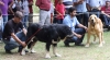 Filename=IMG-5535.jpg
Filesize=122KiB
Dimensions=1500x827
Date added=%722 %20, %2012 IMG-5535.jpg