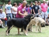 Filename=IMG-5540.jpg
Filesize=157KiB
Dimensions=1200x913
Date added=%933 %21, %2012 IMG-5540.jpg