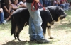 Filename=IMG-5544.jpg
Filesize=91KiB
Dimensions=1200x778
Date added=%933 %21, %2012 IMG-5544.jpg