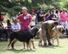 Filename=IMG-5545.jpg
Filesize=152KiB
Dimensions=1200x956
Date added=%933 %21, %2012 IMG-5545.jpg
