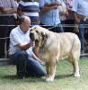 Filename=IMG-5547.jpg
Filesize=139KiB
Dimensions=1184x1200
Date added=%933 %21, %2012 IMG-5547.jpg