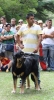 Filename=IMG-5550.jpg
Filesize=98KiB
Dimensions=655x1200
Date added=%933 %21, %2012 IMG-5550.jpg
