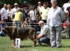 Filename=IMG-5556.jpg
Filesize=166KiB
Dimensions=1200x884
Date added=%933 %21, %2012 IMG-5556.jpg