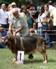 Filename=IMG-5557.jpg
Filesize=167KiB
Dimensions=984x1200
Date added=%933 %21, %2012 IMG-5557.jpg