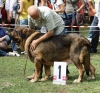 Filename=IMG-5559.jpg
Filesize=211KiB
Dimensions=1200x1124
Date added=%933 %21, %2012 IMG-5559.jpg