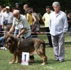 Filename=IMG-5560.jpg
Filesize=202KiB
Dimensions=1200x1194
Date added=%933 %21, %2012 IMG-5560.jpg