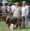 Filename=IMG-5562.jpg
Filesize=206KiB
Dimensions=1168x1200
Date added=%933 %21, %2012 IMG-5562.jpg