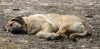 Filename=IMG-5564.jpg
Filesize=135KiB
Dimensions=1500x747
Date added=%933 %21, %2012 IMG-5564.jpg