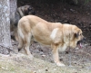 Filename=IMG-5575.jpg
Filesize=113KiB
Dimensions=1200x976
Date added=%933 %21, %2012 IMG-5575.jpg