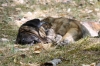 Filename=IMG-5577.jpg
Filesize=111KiB
Dimensions=1200x800
Date added=%933 %21, %2012 IMG-5577.jpg