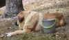 Filename=IMG-5582.jpg
Filesize=160KiB
Dimensions=1400x812
Date added=%933 %21, %2012 IMG-5582.jpg