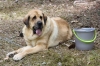 Filename=IMG-5583.jpg
Filesize=146KiB
Dimensions=1200x796
Date added=%933 %21, %2012 IMG-5583.jpg